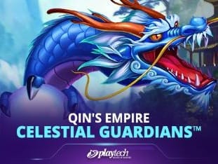 Qin's Empire _ Celestial Guardians™ screenshot